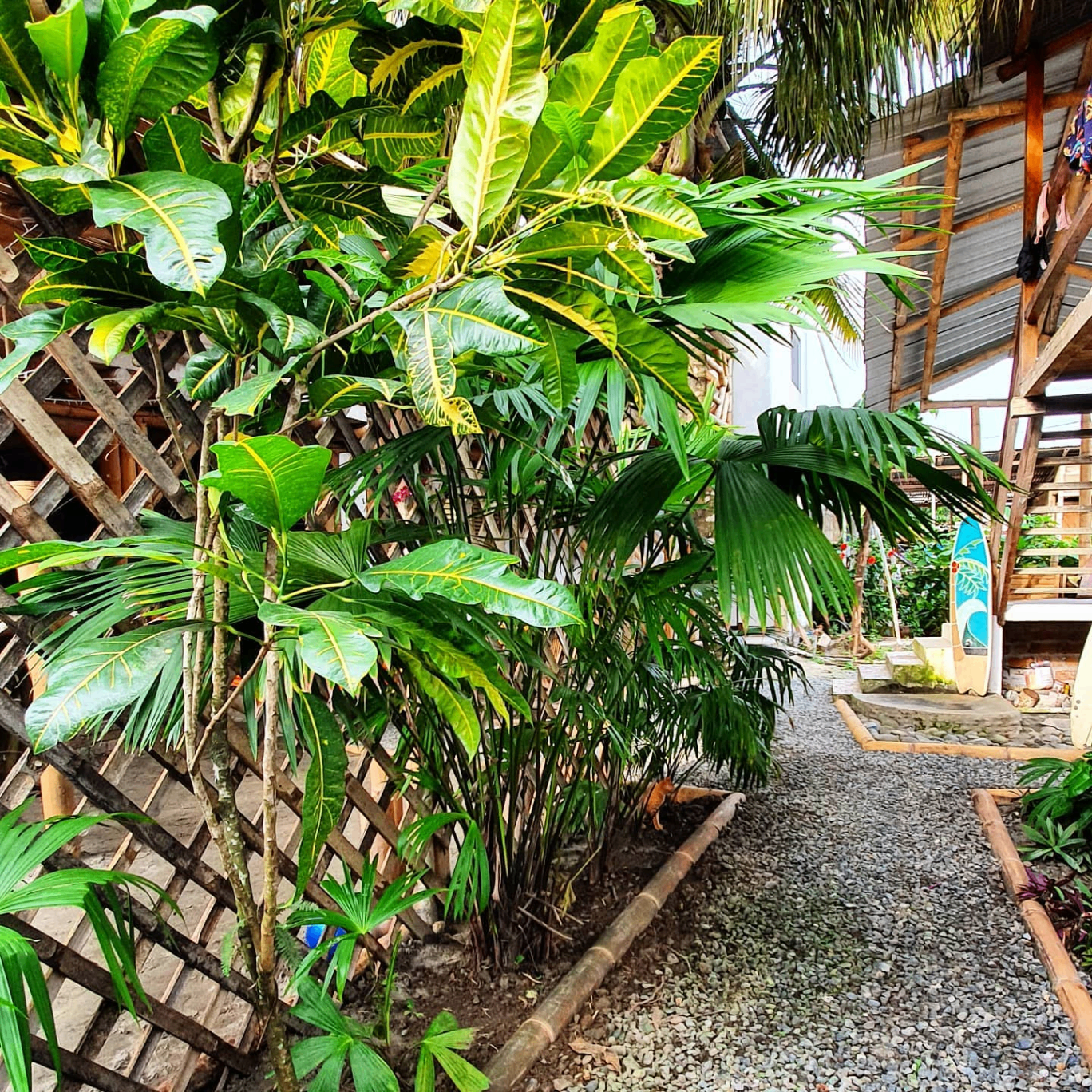 Tropical garden pathway at Hidden House Hostel with bamboo fence and surfboard